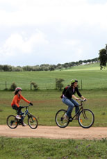 actividades btt